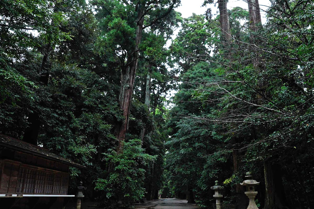 鹿島神宮内の風景