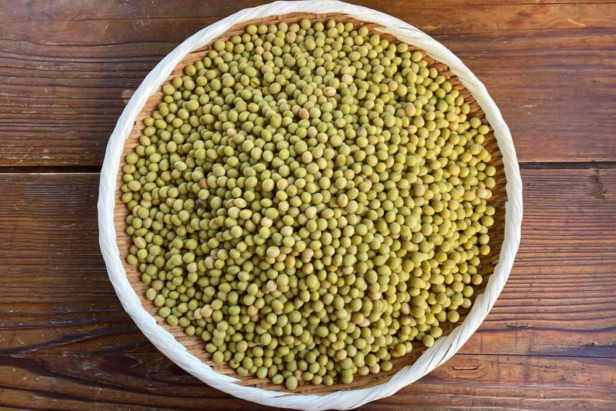 ざるいっぱいに豆が入っている写真