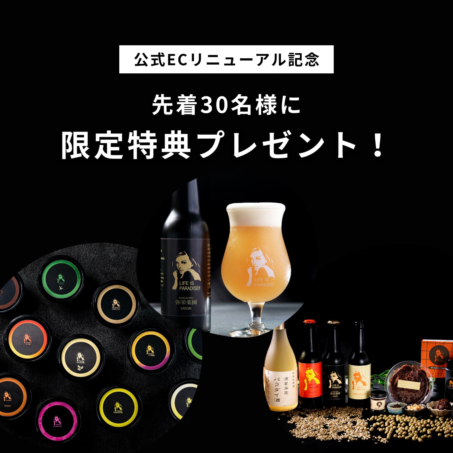 何かが育っている畑の様子