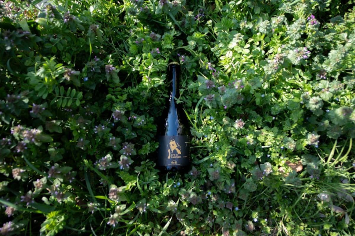 野原に置かれた鹿嶋パラダイスのビール瓶1本